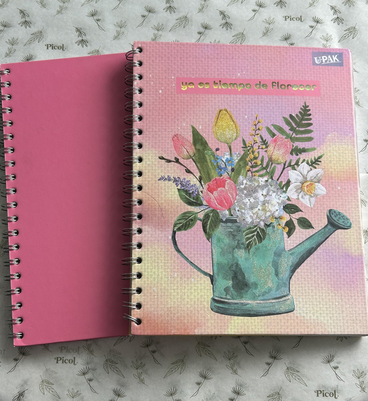 Set de 2 libreta profesional raya upack pasta dura