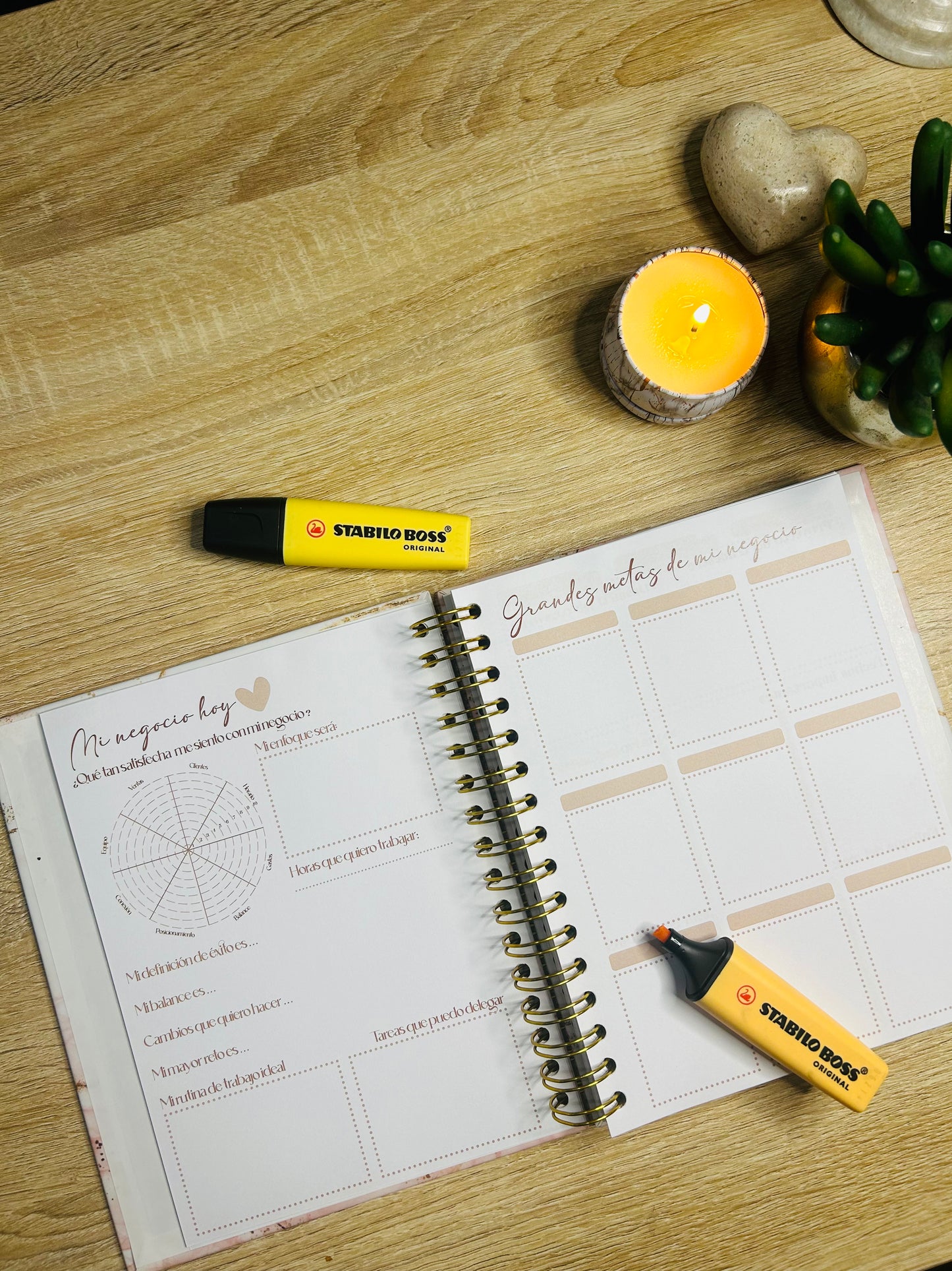 Planner Emprendedora Picol