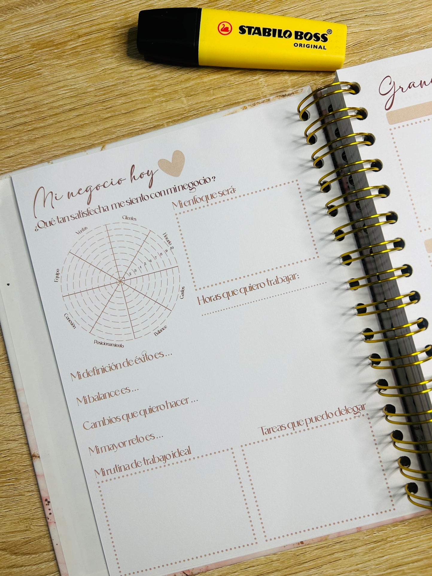 Planner Emprendedora Picol