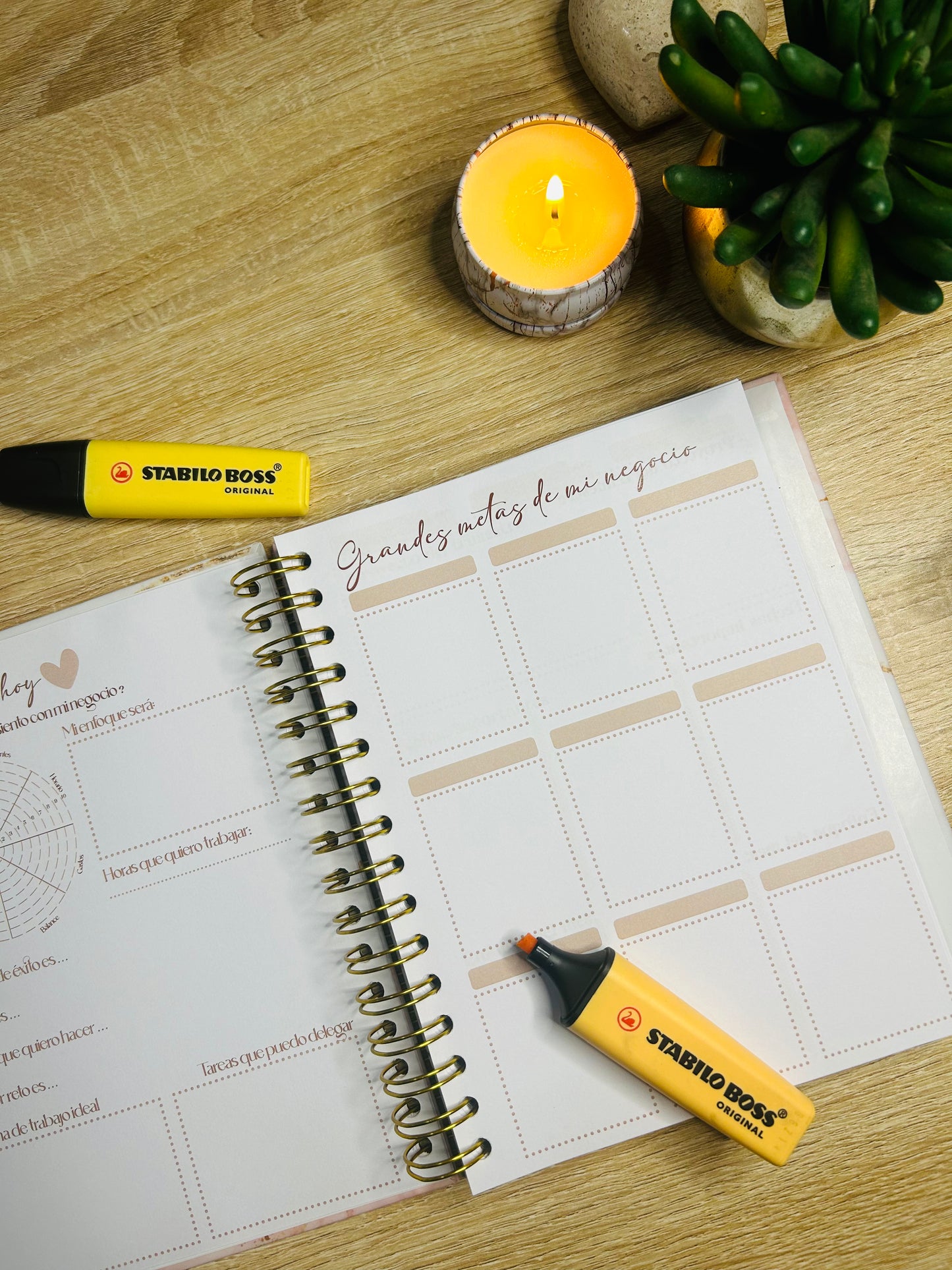Planner Emprendedora Picol