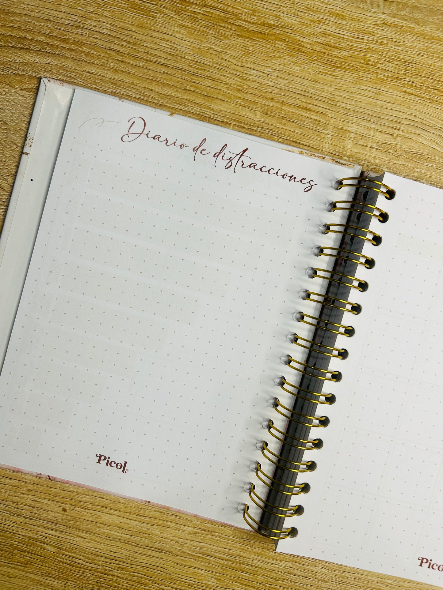 Planner Emprendedora Picol