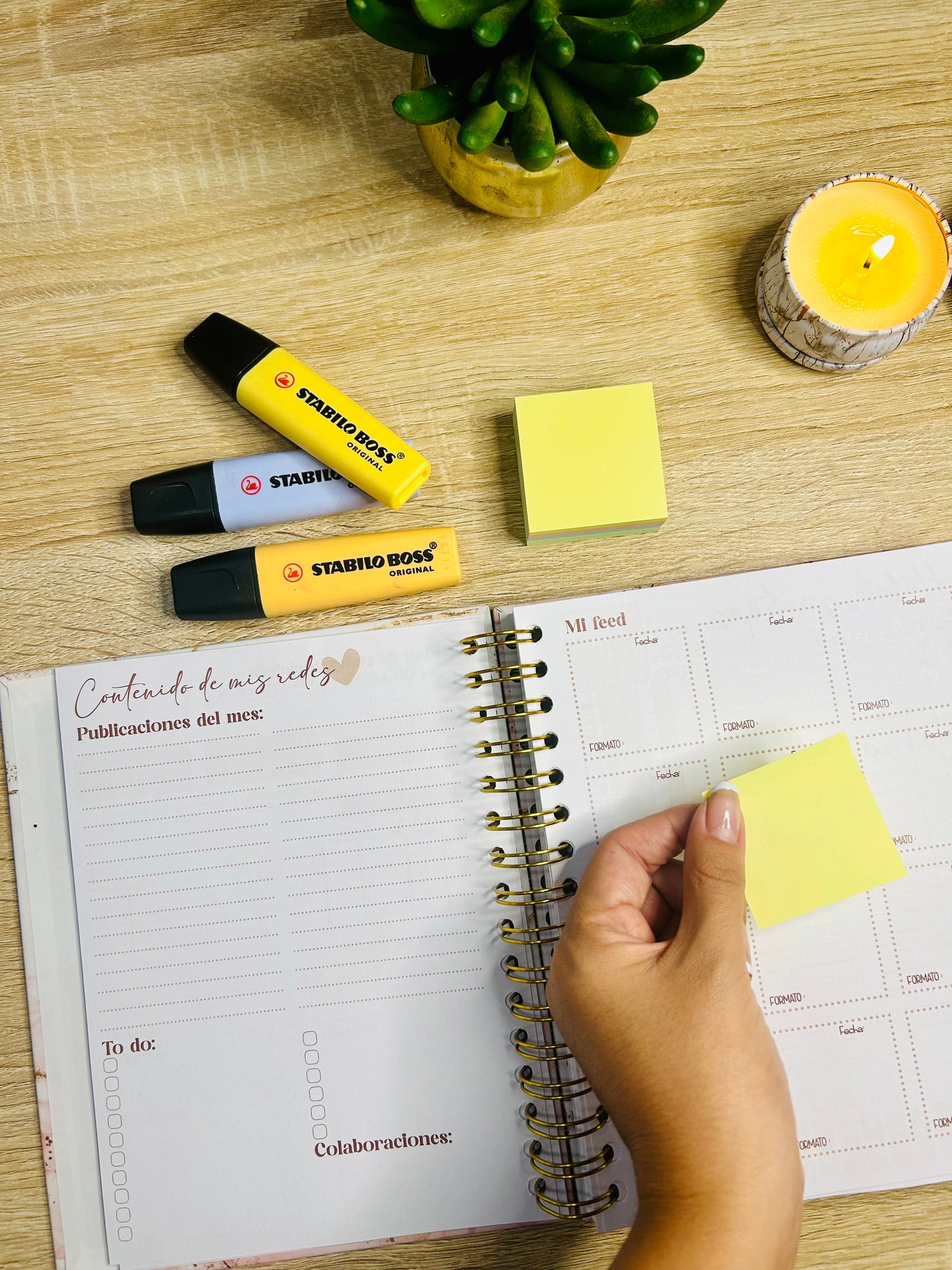 Planner Emprendedora Picol