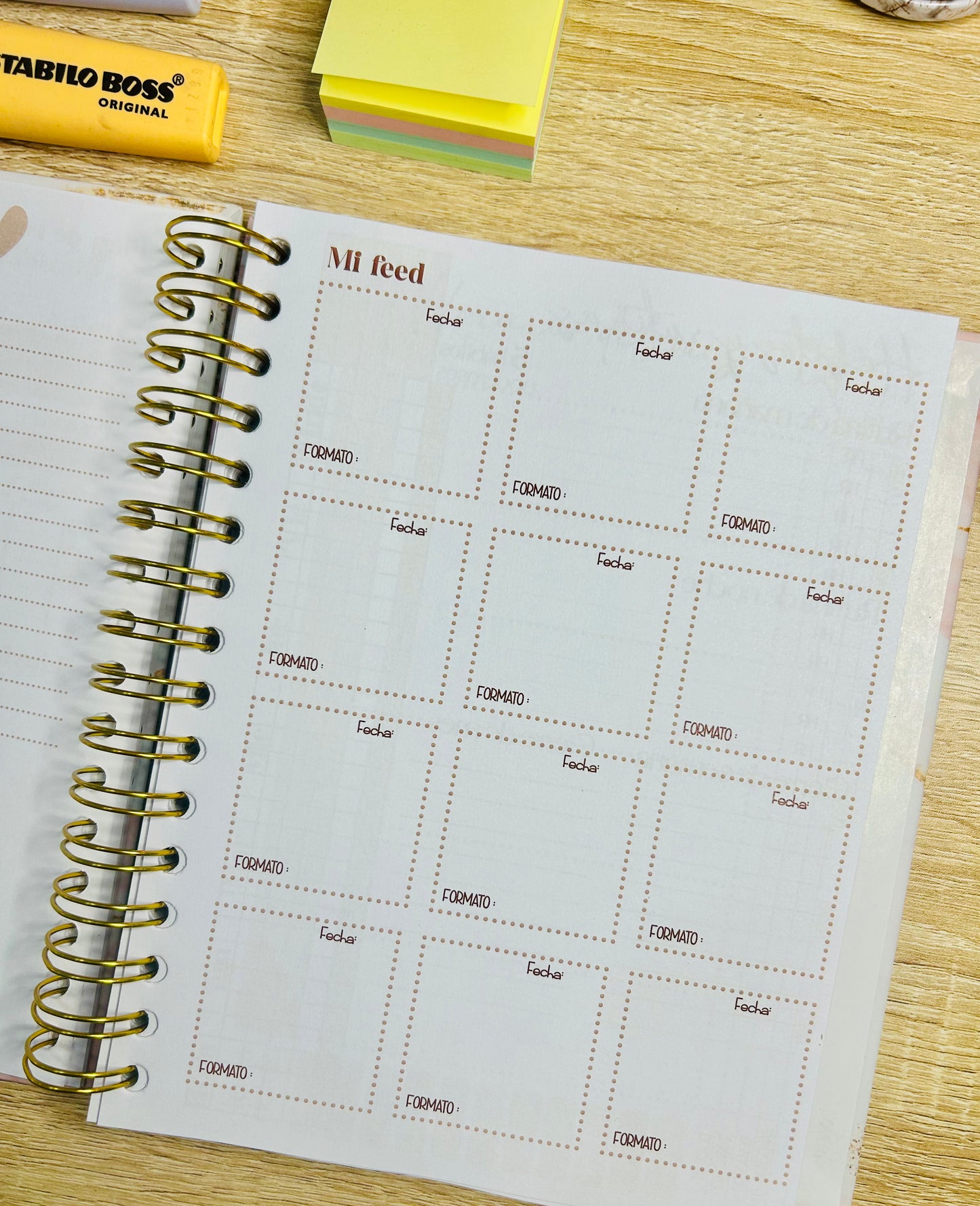 Planner Emprendedora Picol