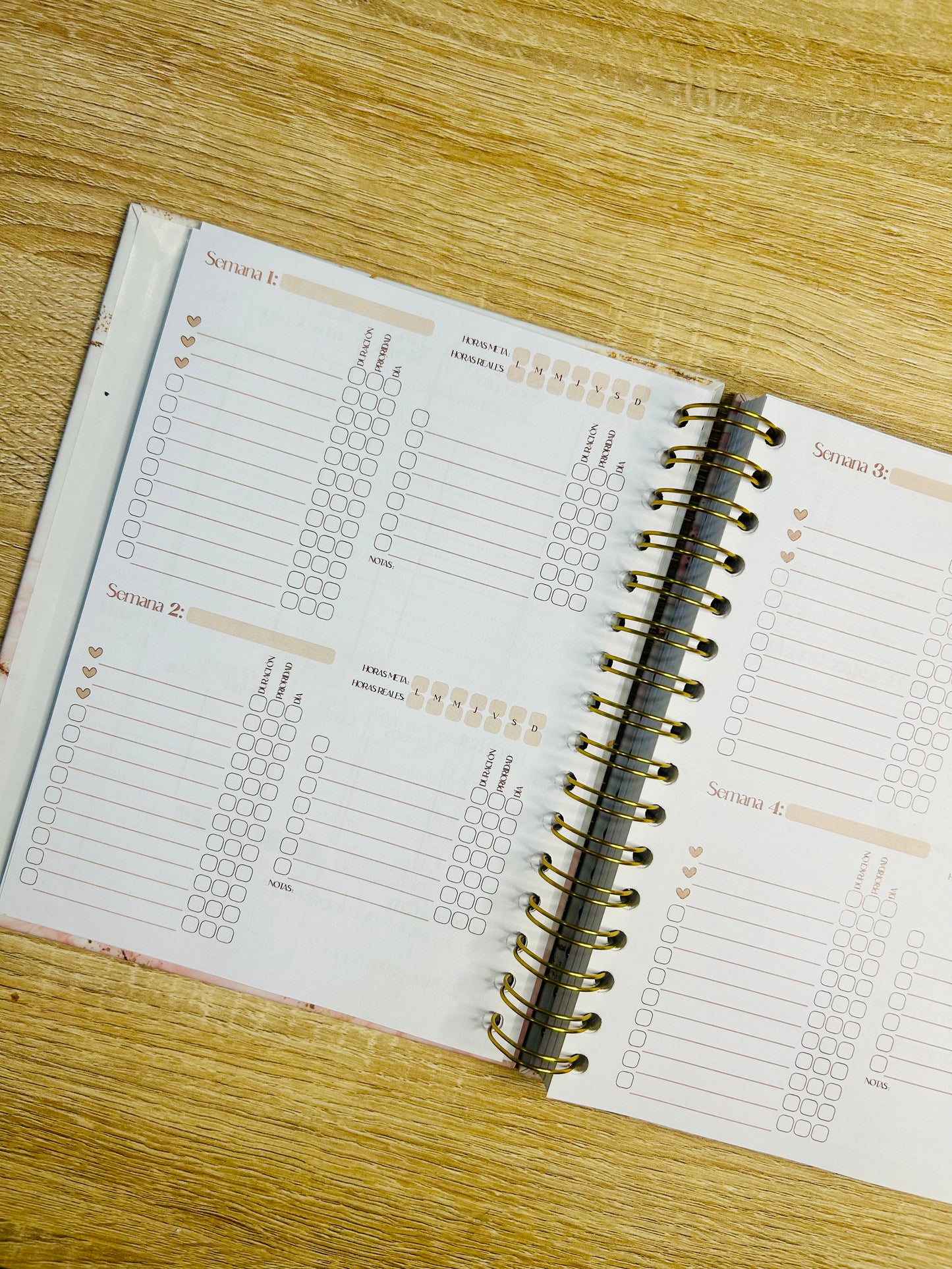 Planner Emprendedora Picol