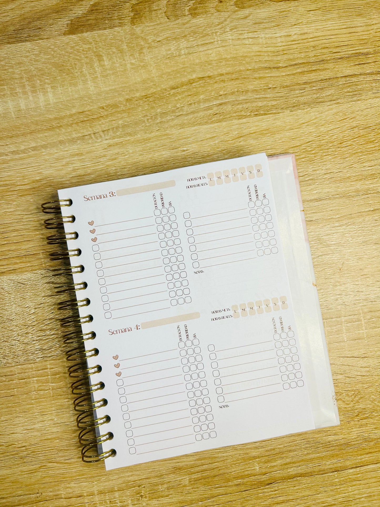 Planner Emprendedora Picol