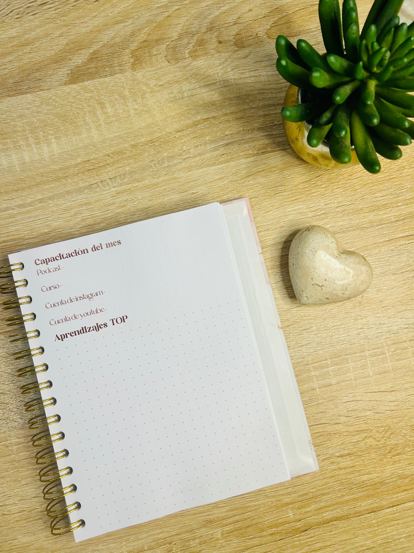 Planner Emprendedora Picol