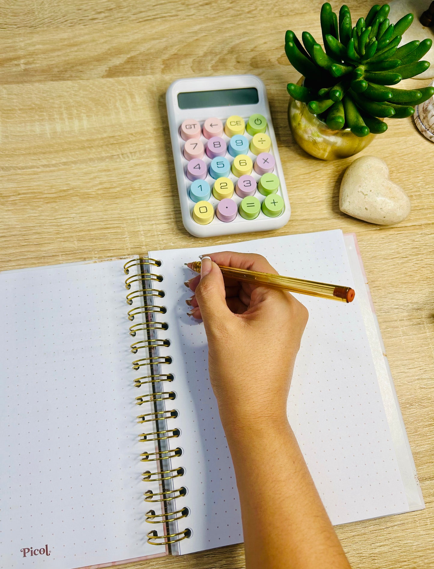 Planner Emprendedora Picol