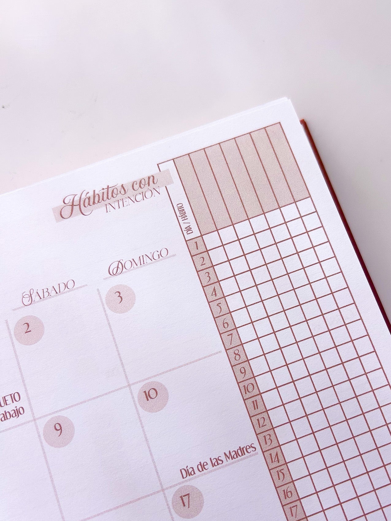 Agenda Raíces Semestra + Journal 2026