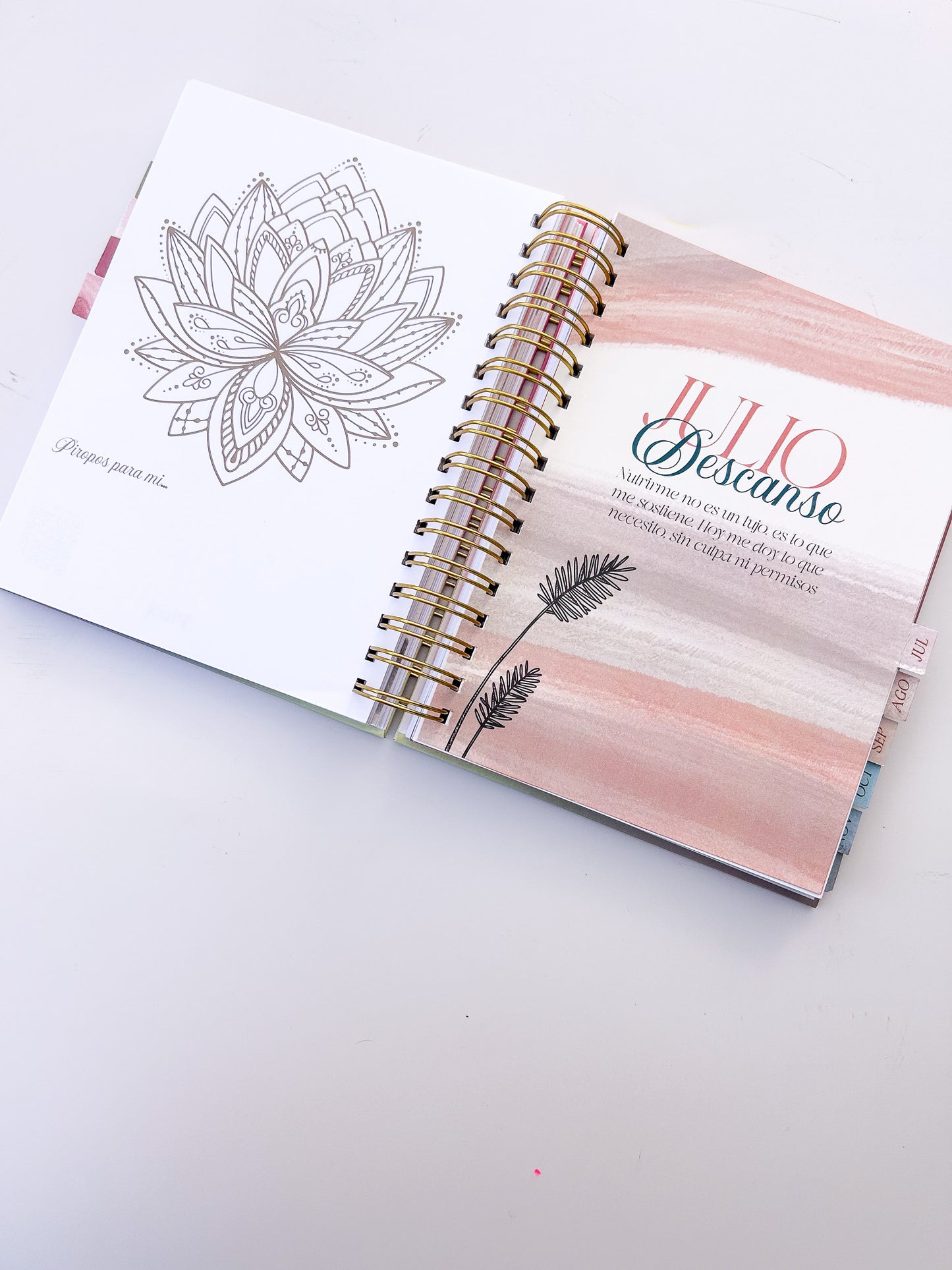 Agenda Raíces Semestra + Journal 2026